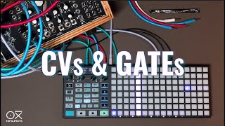 Celebrity OXI One Walkthrough #4 - CVs & Gates, Config & Routing Profile