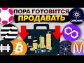 Как я собираюсь заработать на криптовалюте. Розыгрыш USDT!