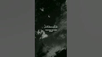 قران كريم ياسر الدوسري #اكسبلور #المصحف #لايك #الرحمن #minecraft
