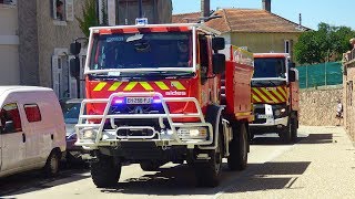 Défilé motorisé du congrès départemental des sapeurs pompiers de l'Allier ( SDIS 03 )