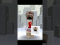 استفدتوا 🤍؟ #roblox #شلتنا #robloxmemes #مجانيه #روبلوكس #ترند #لايكات #اكسبلور #trending