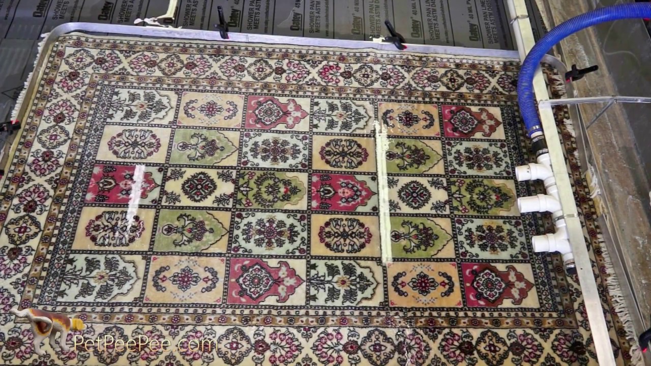 Professional Silk rug cleaning by PetPeePee service YouTube