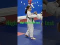 High Green Belt Test Taekwondo