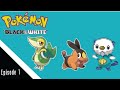 Pokemon Black &amp; White Randomized Nuzlocke Versus Pt. 1