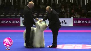 Finals & Winner Ceremony Eukanuba World Challenge 2015 by EukanubaEurope 11,516 views 8 years ago 50 minutes