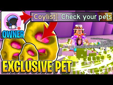The Owner Of Pet Simulator Gave Me A Exclusive Pet Roblox Youtube - this new game was made by the pet simulator creators roblox