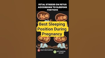 Best Sleeping Position During Pregnancy | Fetal Stress on Baby Explained Ep-1