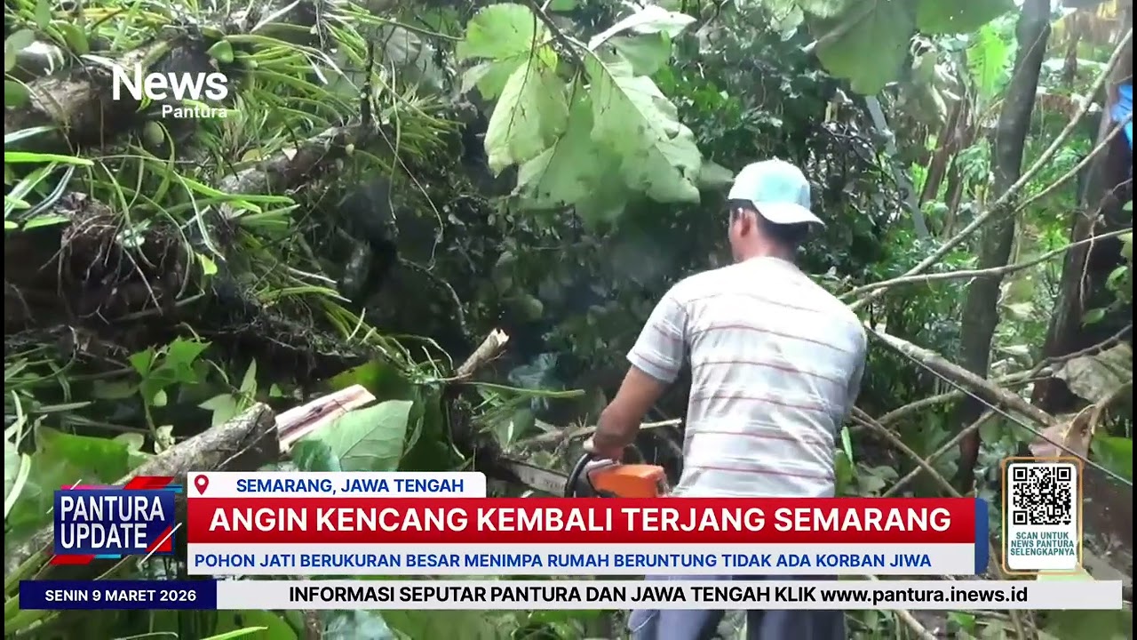 Angin kencang kembali terjang kota Semarang, pohon jati timpa rumah