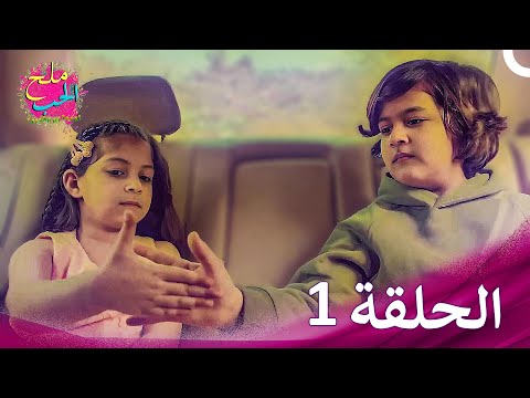 ملح الحب الحلقة 1 حلقات طويلة Namak Issk Ka 