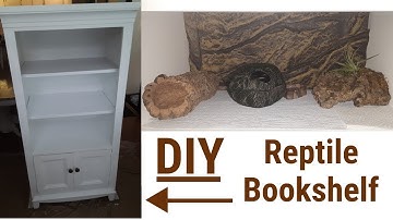 DIY Leopard Gecko Bookshelf