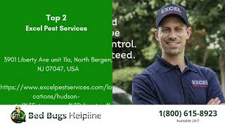 Top 3 Bed Bug Removal in Mill Creek East