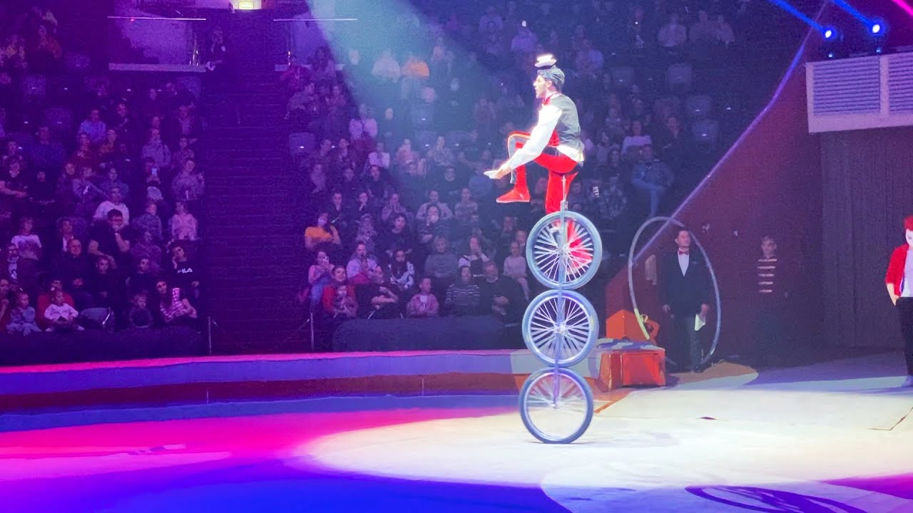 Купол цирка Никулина. Казанский цирк акробаты. Трюки на мотоциклах в цирке.