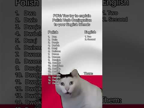 Повертаючись до теми польської мови 😂
