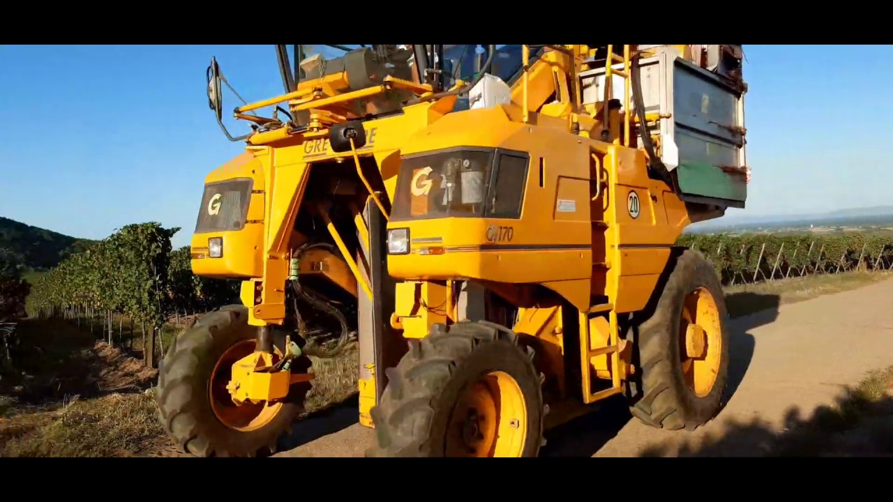 How this machine harvest grapes@loverofnature2238 - YouTube