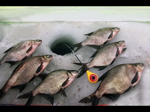 Зимняя ловля леща. Поиск места зимой. Первая ночь Рыбалка на леща.