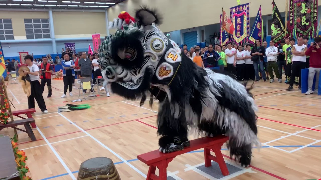 全港賽2018  | 季軍 | 寶芝林A隊