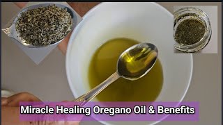 Oregano Oil: How to make Oregano Oil at Home | benefits for Hair, skin, & Other  Health benefits