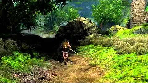 Age of Conan Developer