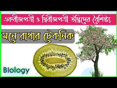 Biology||একবীজপত্রী ও দ্বিবীজপত্রী উদ্ভিদের বৈশিষ্ট্য মনে রাখার টেকনিক||শর্টকাট টেকনিক