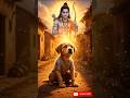 Dog fulfilled the cat's wish, Lord Rama blessed the dog #shorts #ai #dog