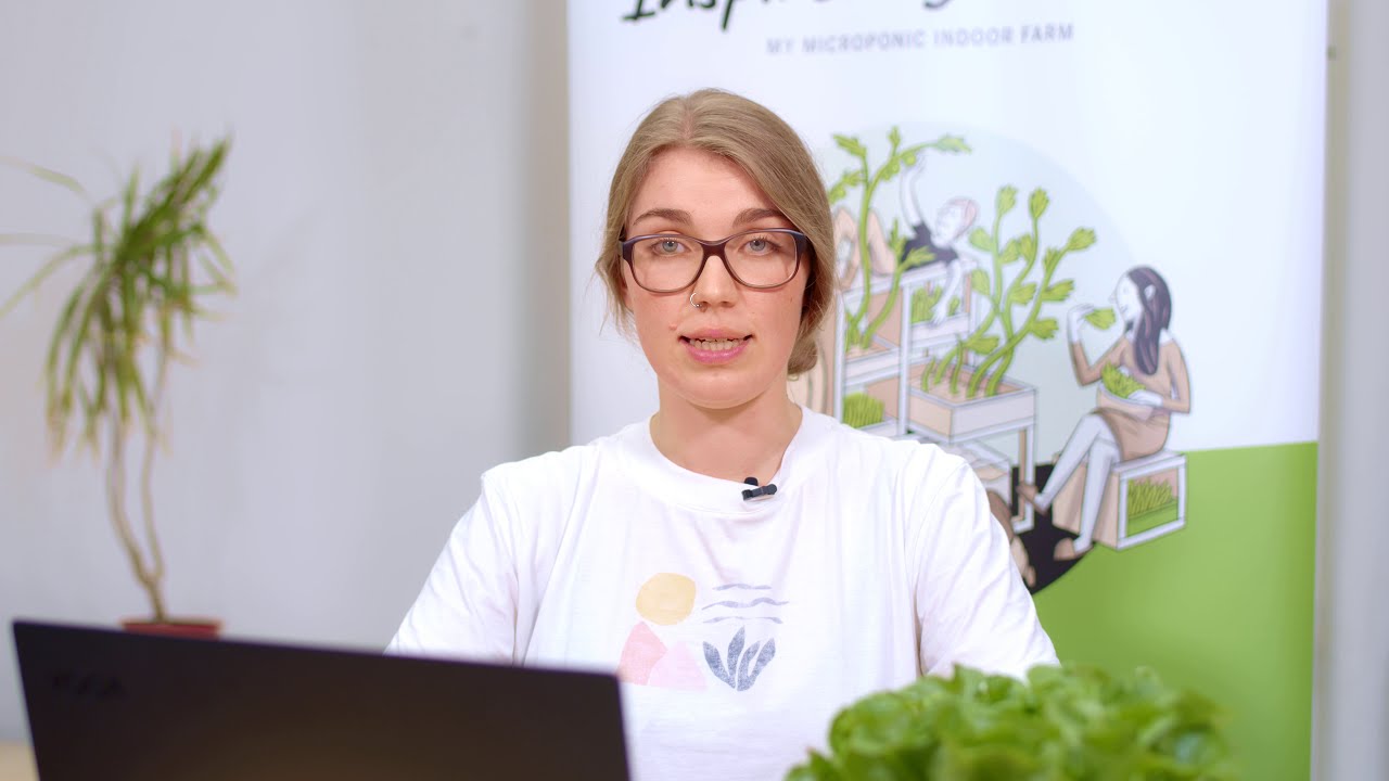Imagevideo Greenhub Youtube