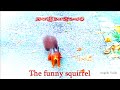 The funny squirrel
