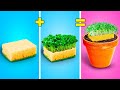 Transforma tu Espacio con Jardinería DIY 🌱🏡 ¡Descubre Ideas Creativas para Amantes de las Plantas!