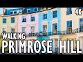 Primrose Hill - The Most Expensive Areas to Live in London - 4K Walking Tours