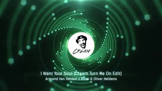 Armand Van Helden x Riton   Oliver Heldens   I Want Your Soul Cream Turn Me On Edit  MusicVisual 720