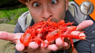 Red Crab Invasion!