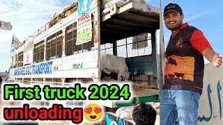 🔴Live first truck unloading 2024 at Northern bypass Mandi😍