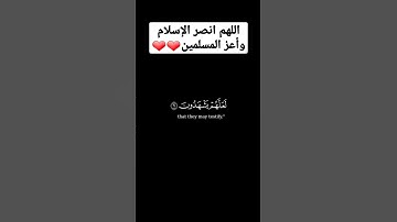 قالوا من فعل هذا بئالهتنا|القارئ ياسر الدوسري❤❤