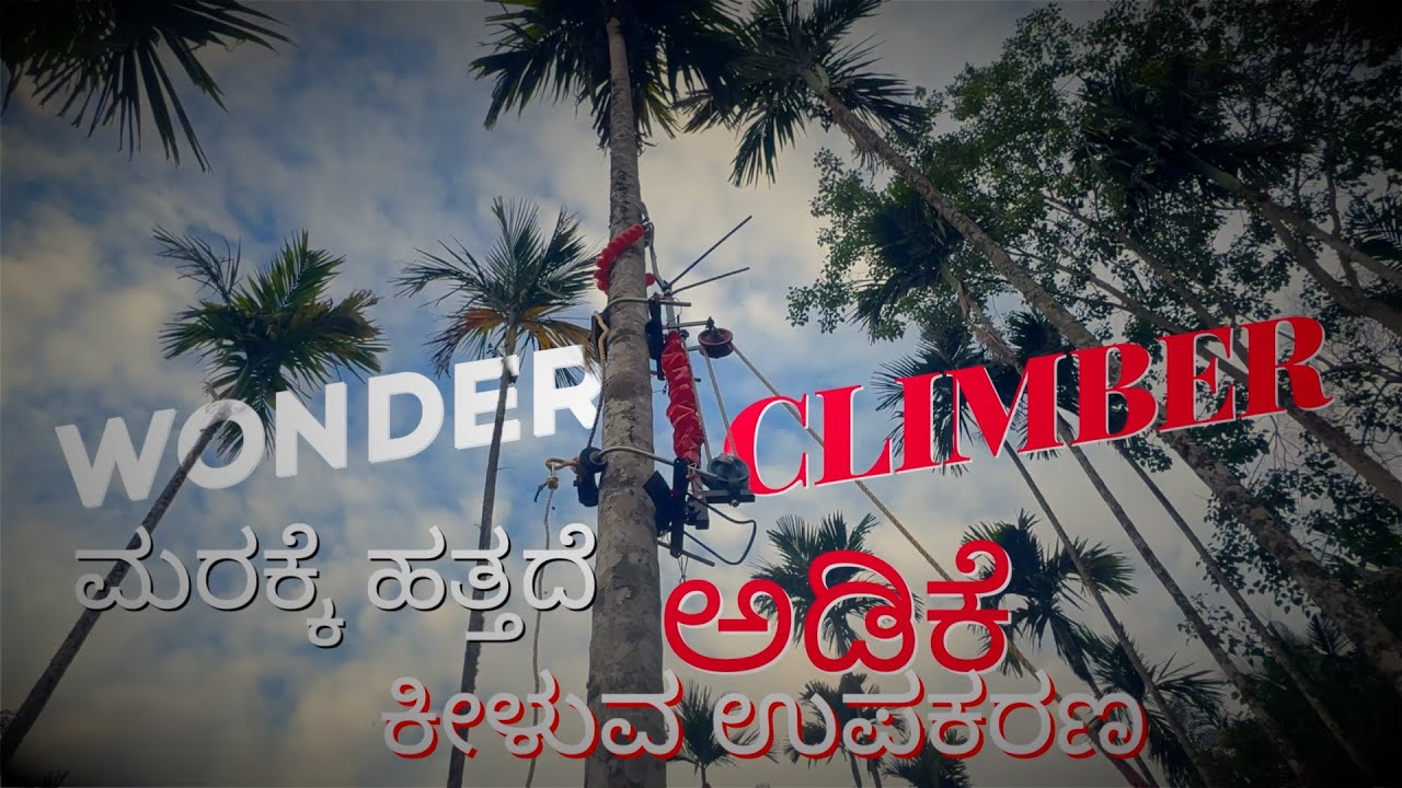 Wonder Climber Machine for Arecanut Tree | Areca nut Harvesting Tool  |  Unboxing | BMK power Tools