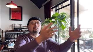 十万订阅特别感谢篇：感谢您、感谢党、感谢我家猫（我太太）