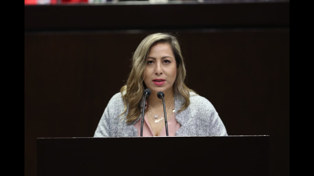 Dip. Lizbeth Mata (PAN) - Reserva a la Miscelánea Fiscal fiscally conservative