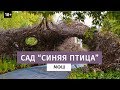 Обзор сада «Синяя птица» МФШ. Выставочный сад.