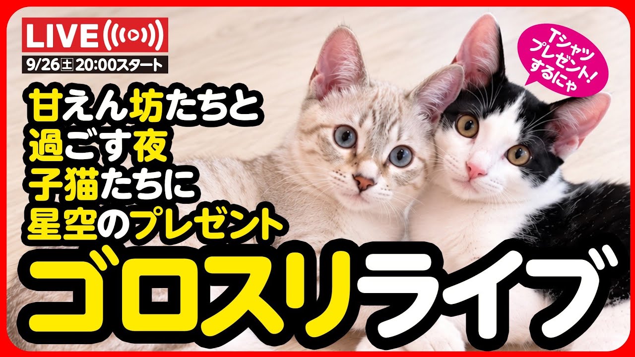 🔴【9月26日(土) 20時スタート】甘えん坊たちと過ごす星空ライブ🌟
