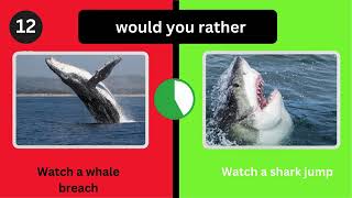 Would you rather? Animal Adventure!