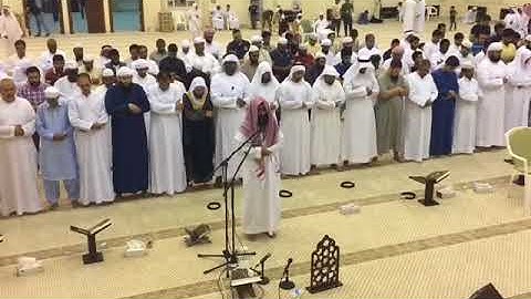 احمد حمادي l سورة الزلزلة