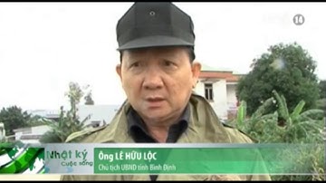 VTC14_Bình Định: Mưa lũ lớn gây thiệt hại nặng nề