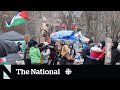 Mcgill university asks for police help as propalestinian protesters dig in