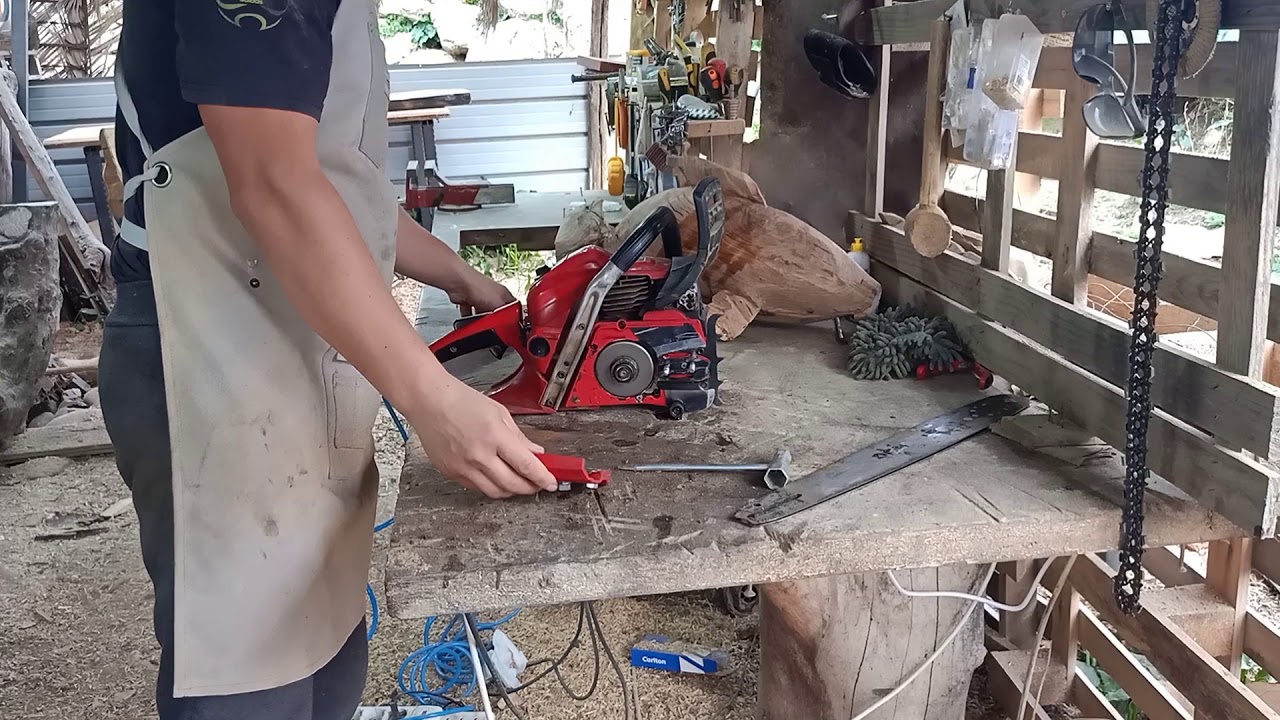 SHINDAIWA 501 SX   professional chainsaw  # MOTOSEGA PROFESSIONALE   complete maintenance