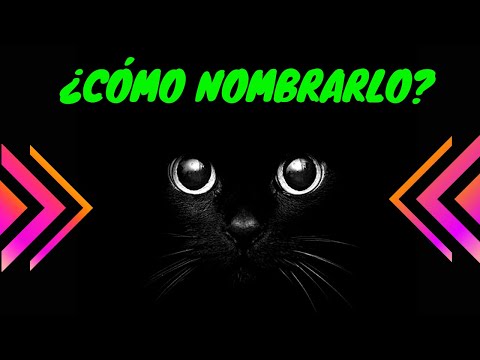 Video: Los mejores nombres para los gatos negros