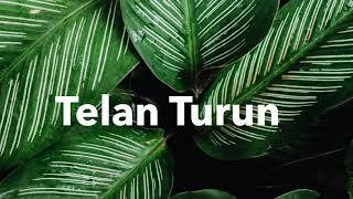 Telan Turun