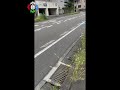Мы снова в Японии! Мини-экскурсия по не туристическим улочкам Хашимото.