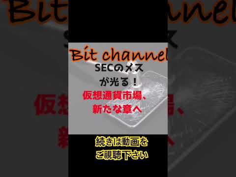 SECのメスが光る！仮想通貨市場、新たな章へ