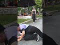 The Girl Who Stepped Out and Changed Everything [UtTHUY] #Aries #cool #shorts #viral #trending