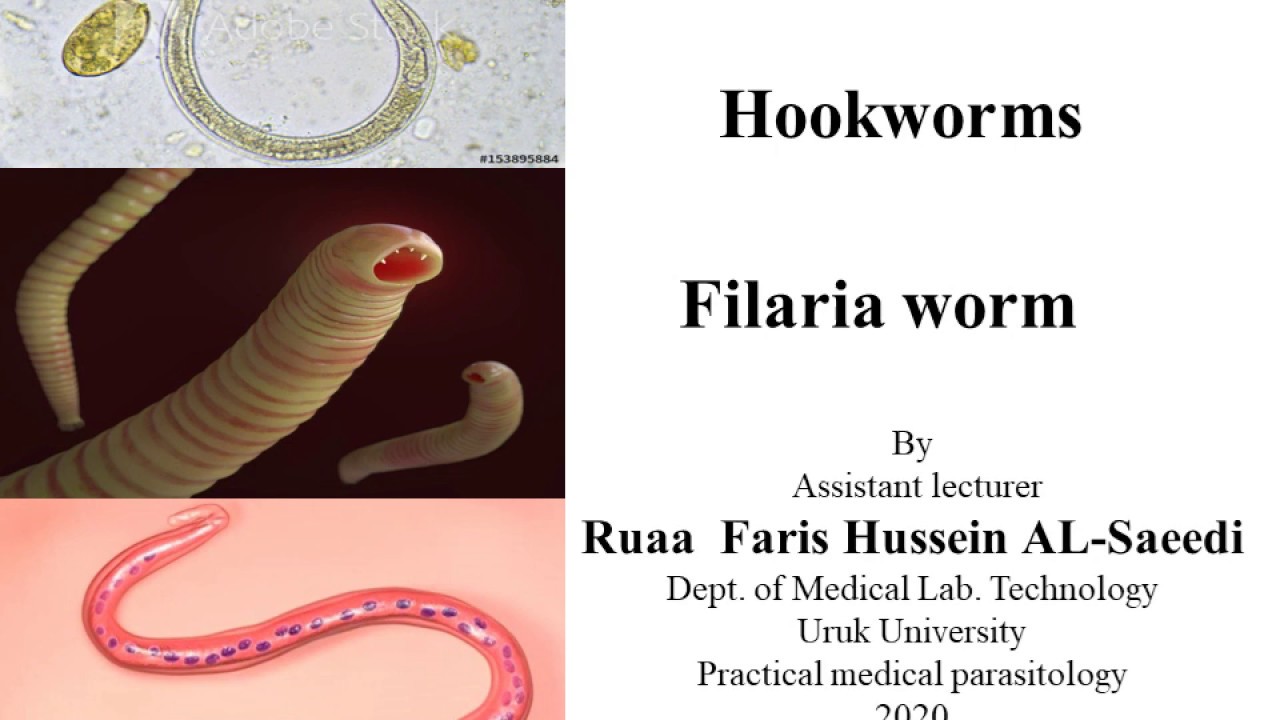 pinworm helminták és paraziták