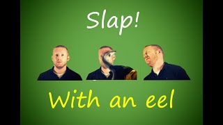 Weird Websites on Internet | eel slap | Part 01 #funny #viral #satisfying