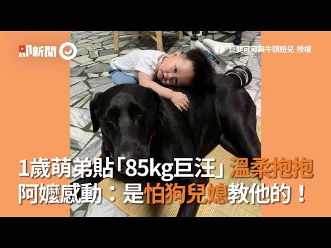 萌弟貼「85kg巨汪」抱抱！阿嬤感動：是怕狗兒媳教他的｜寵物｜看新聞